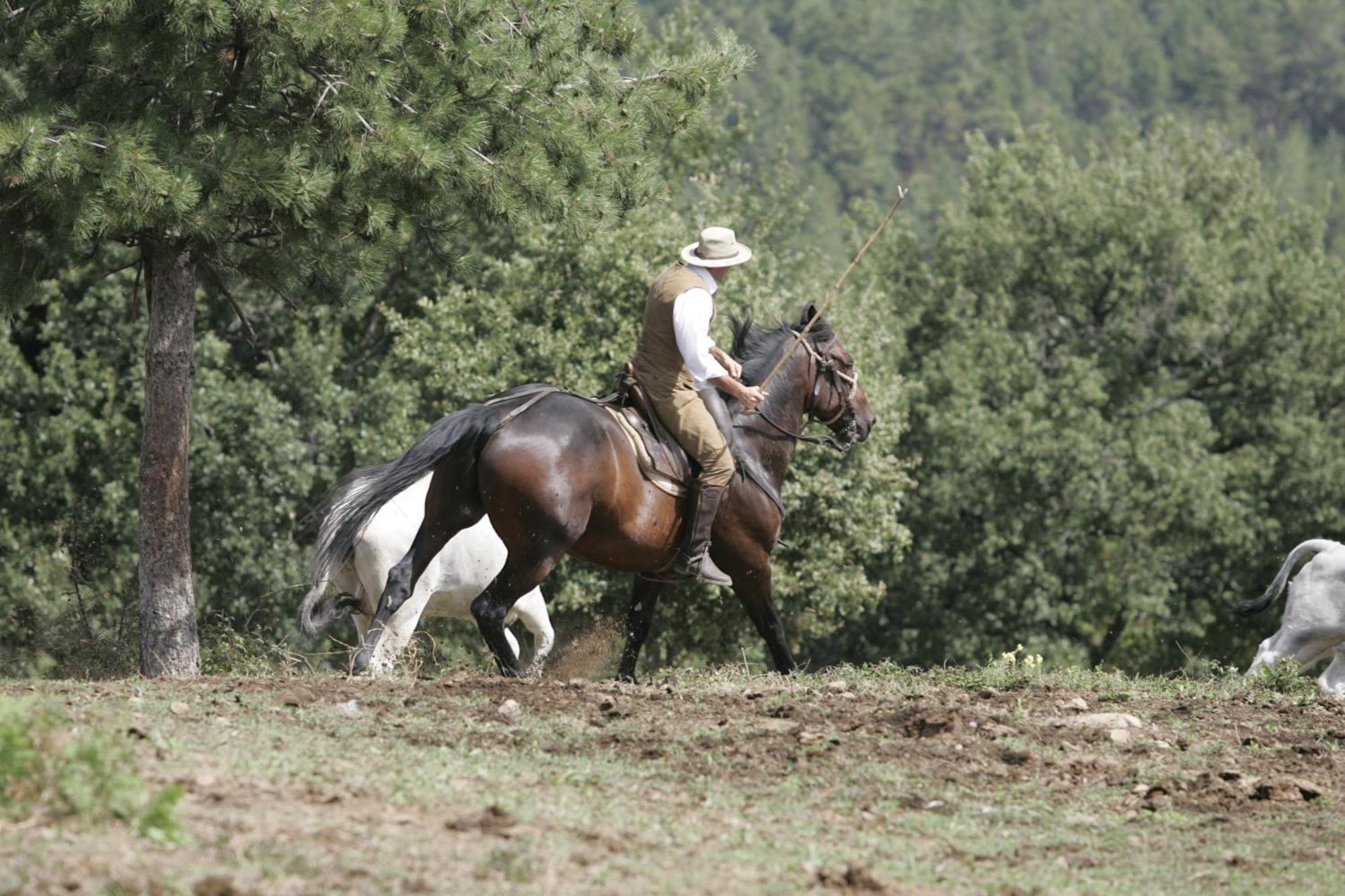 Agriturismo La Forra Cavriglia Exteriér fotografie