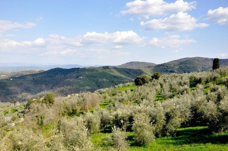 Agriturismo La Forra Cavriglia Pokoj fotografie
